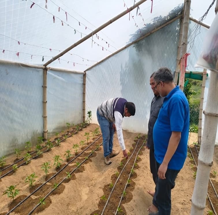 Field implementation and rural livelihood intervention